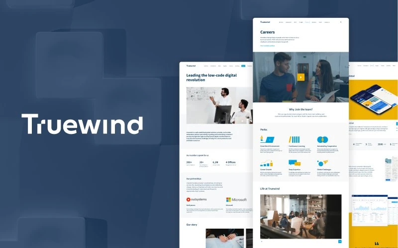 Truewind website rebranding